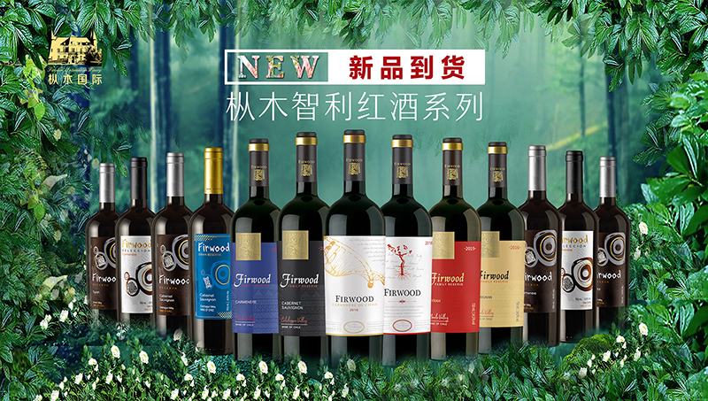 樅木國際酒莊 | 教師節(jié)，難忘師恩，感恩遇見