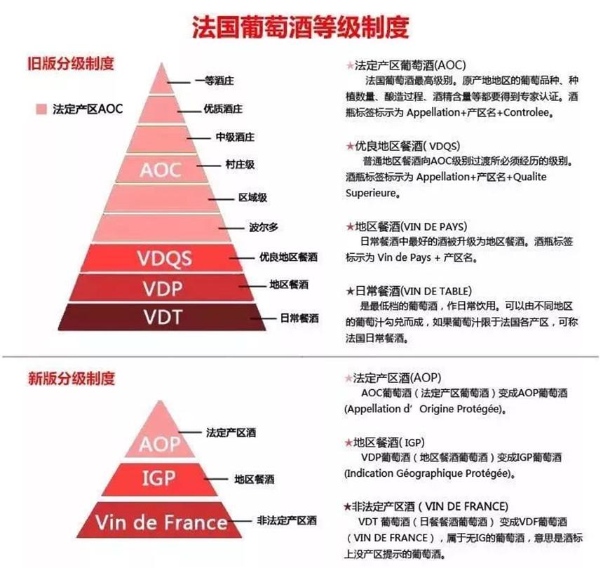 樅木國(guó)際紅酒知識(shí) | 聊聊法國(guó)葡萄酒的分級(jí)制度  