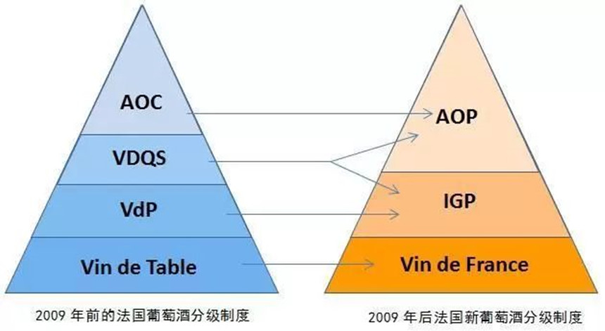 樅木國(guó)際紅酒知識(shí) | 聊聊法國(guó)葡萄酒的分級(jí)制度  