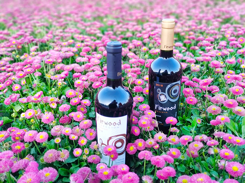 江蘇葡萄酒代理 | 葡萄酒加盟生意入手指南