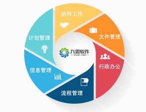 九思軟件王海波 靈感灼灼，在OA系統中“棲思”專業UI魔力